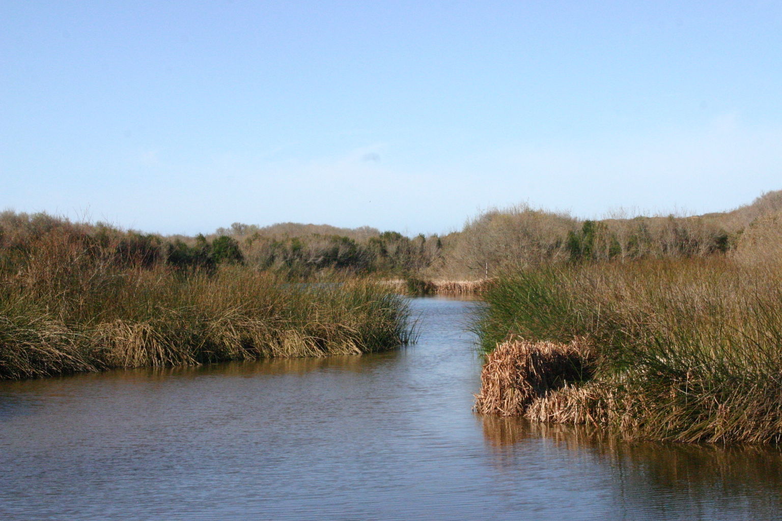 Oso Flaco Boardwalk